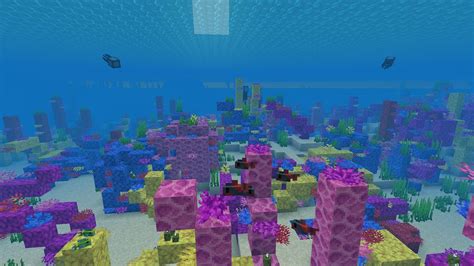 Minecraft coral blocks  brain coral block will be